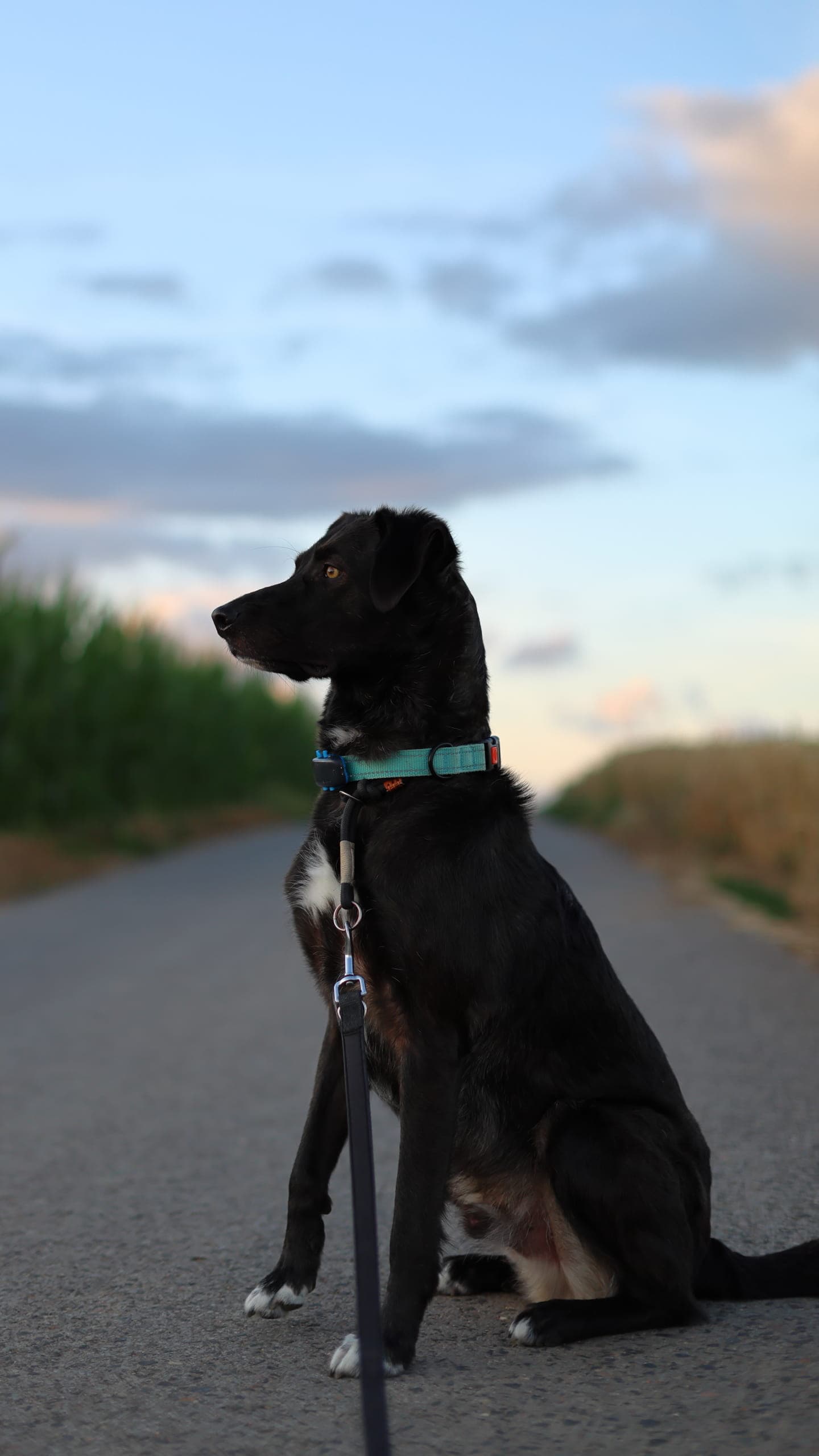 Canon R6mk3 Tv1 1250 Av1 8 ISO200 45mm